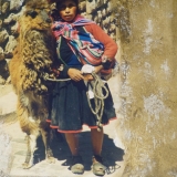 Frau mit Lama / Peru, 50x60cm